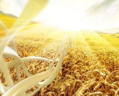 廣告片的制作應把控的點