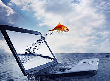 ��(chu��ng)��V�涨�Ʒ���(w��)����Щ��Ҫע���